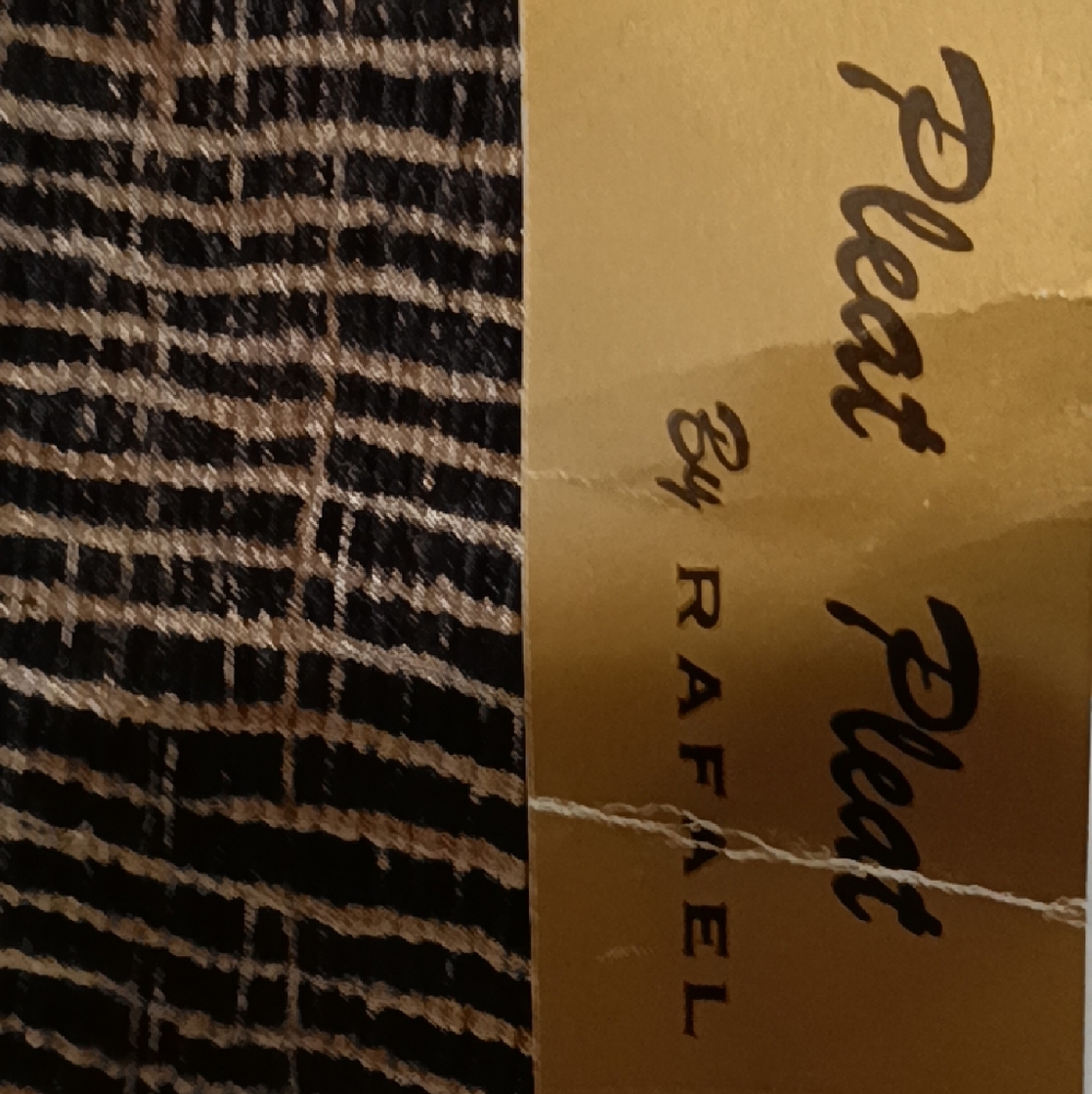 Maxi Dress-Pleat Pleat by Rafael - Picture 3 of 6